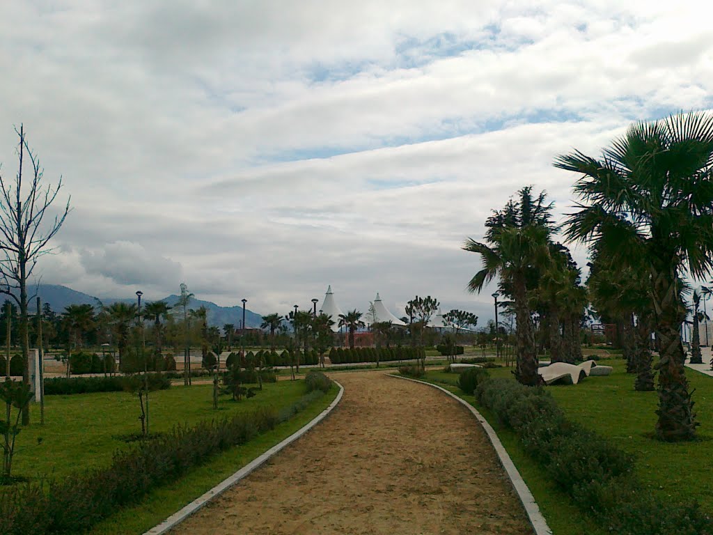 boulevard