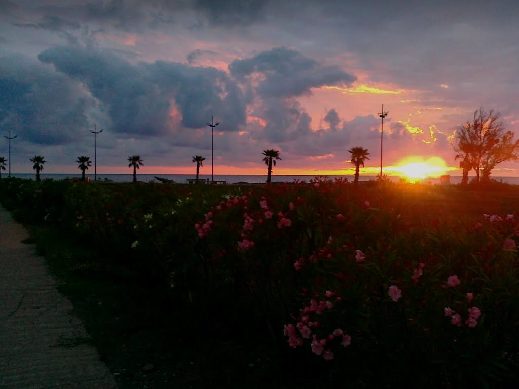 sunset