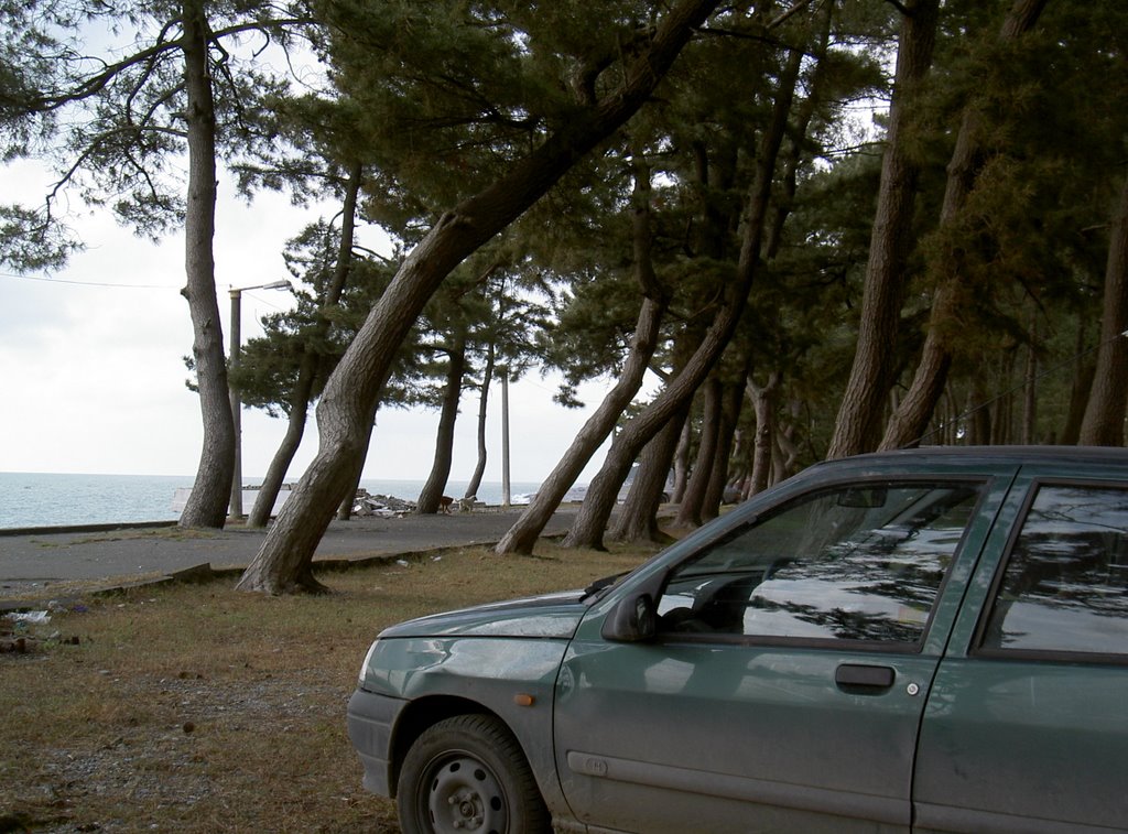 RENAULT CLIO 9885YN93 FRANCE - Géorgie Georgia (Mer Noire)