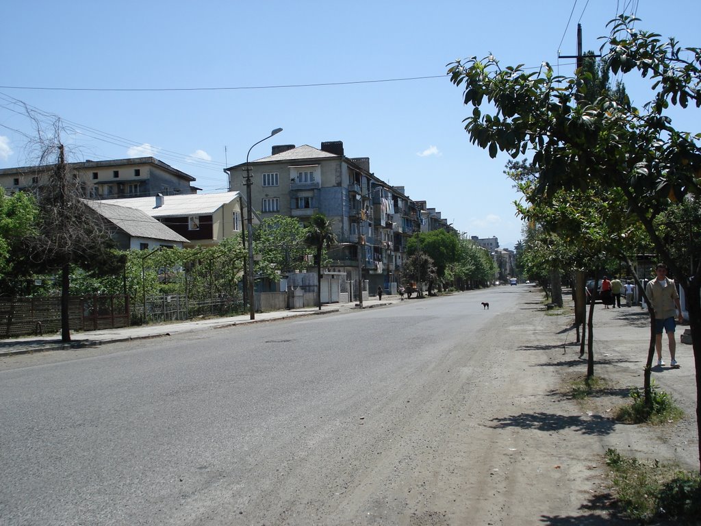 Kobuleti Rustaveli str. + Dimitrov str.
