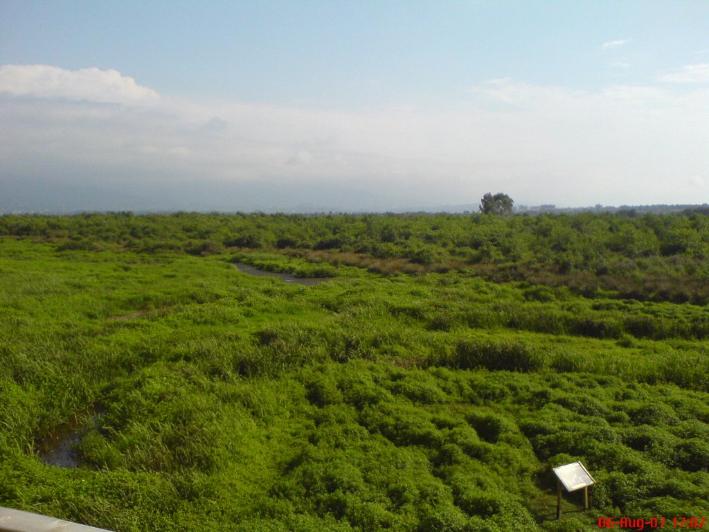 Ispani Mire