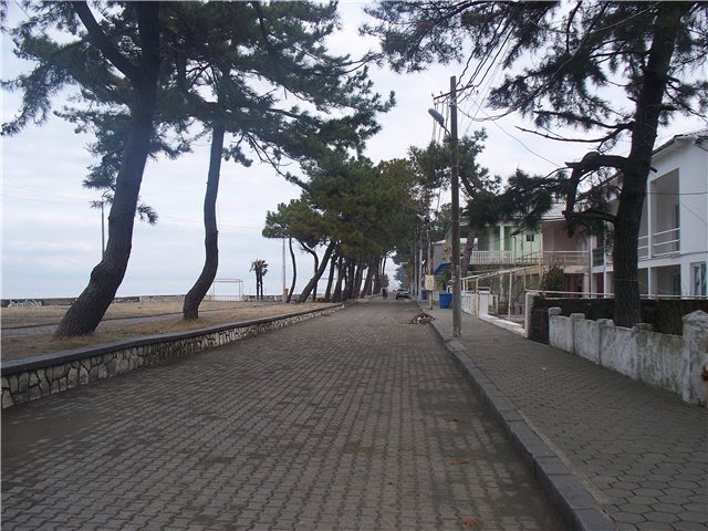 თამარ მეფის ქუჩა