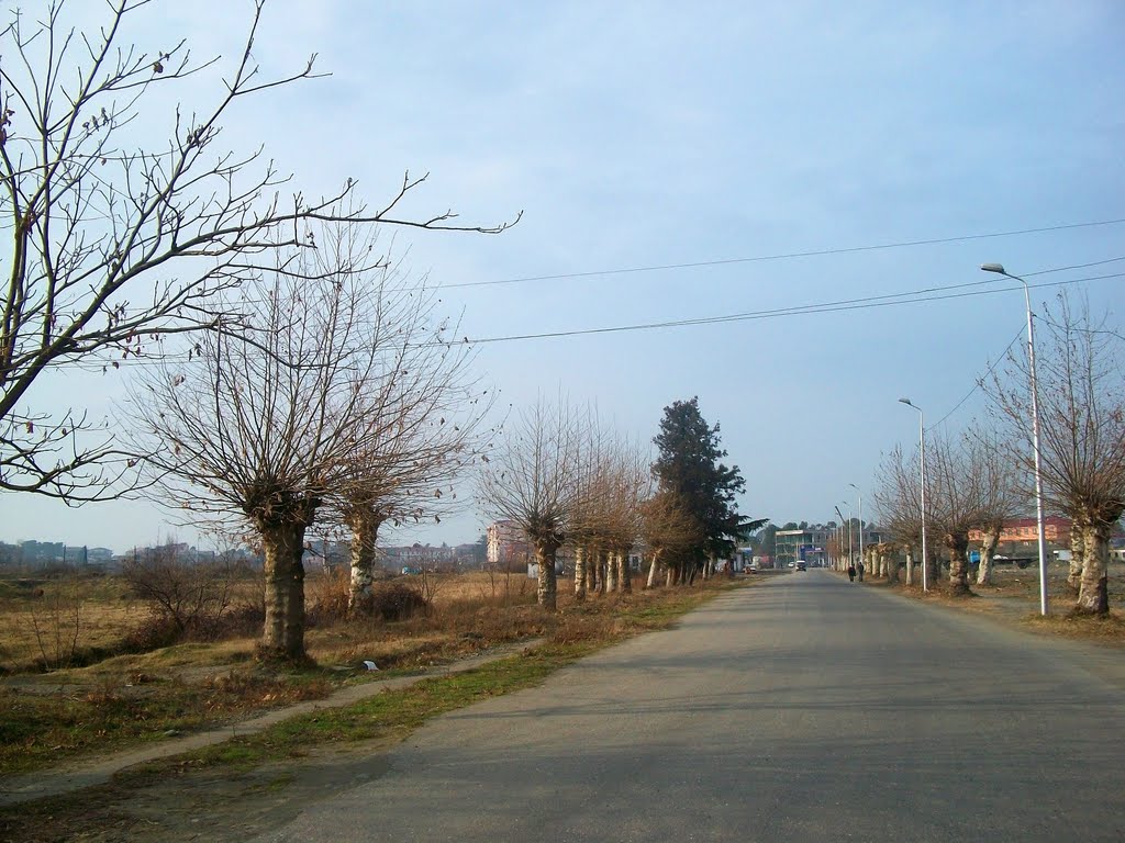 Entering Kobuleti from east