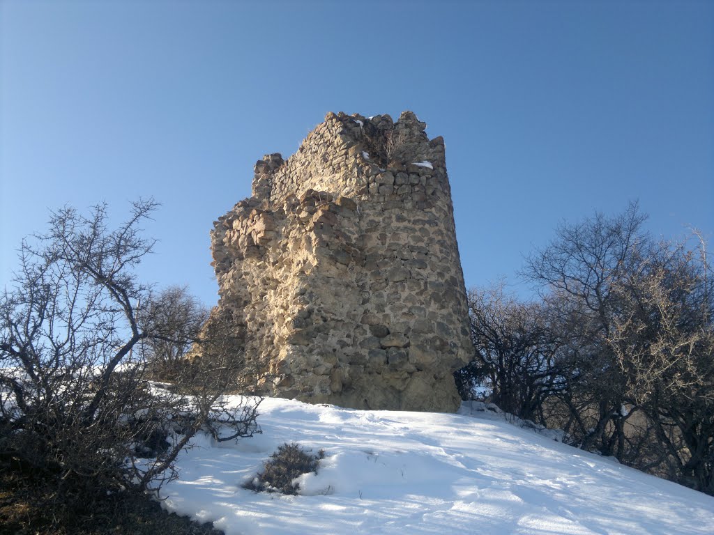 ისტორიული ციხე სიმაგრის ნანგრევები სოფელ აბასთუმანში. აღმოსავლეთის ხედი. 2013