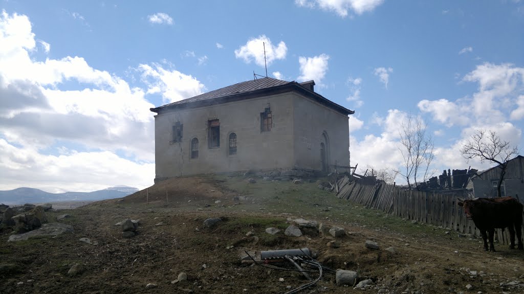 Posof