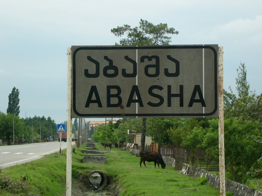 Abasha Sign