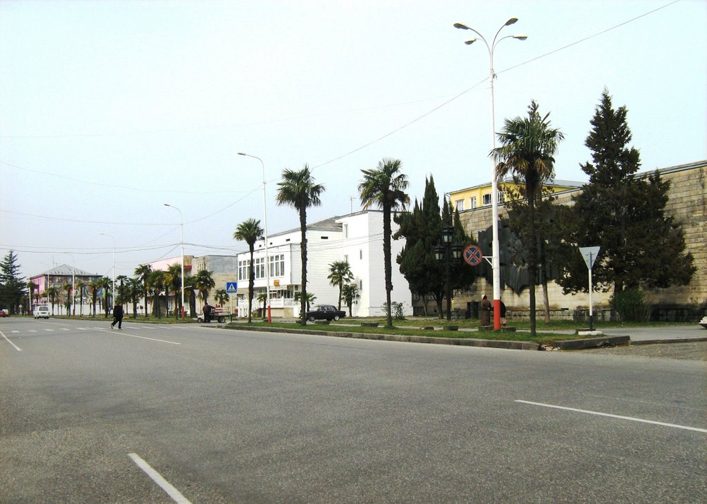 View of Abasha City  – ქალაქ აბაშის ხედი