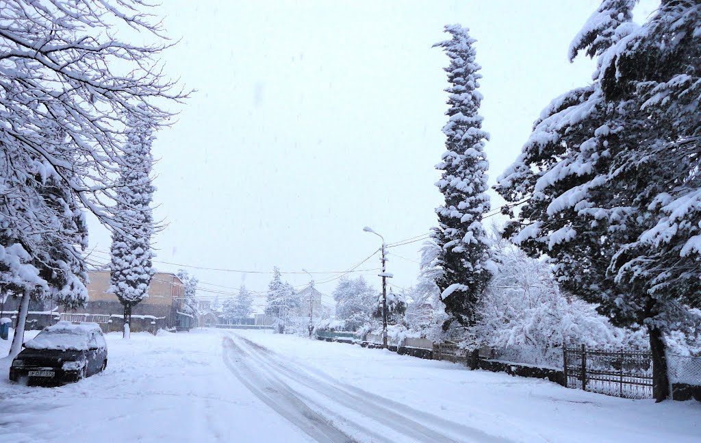 Snowy Abasha