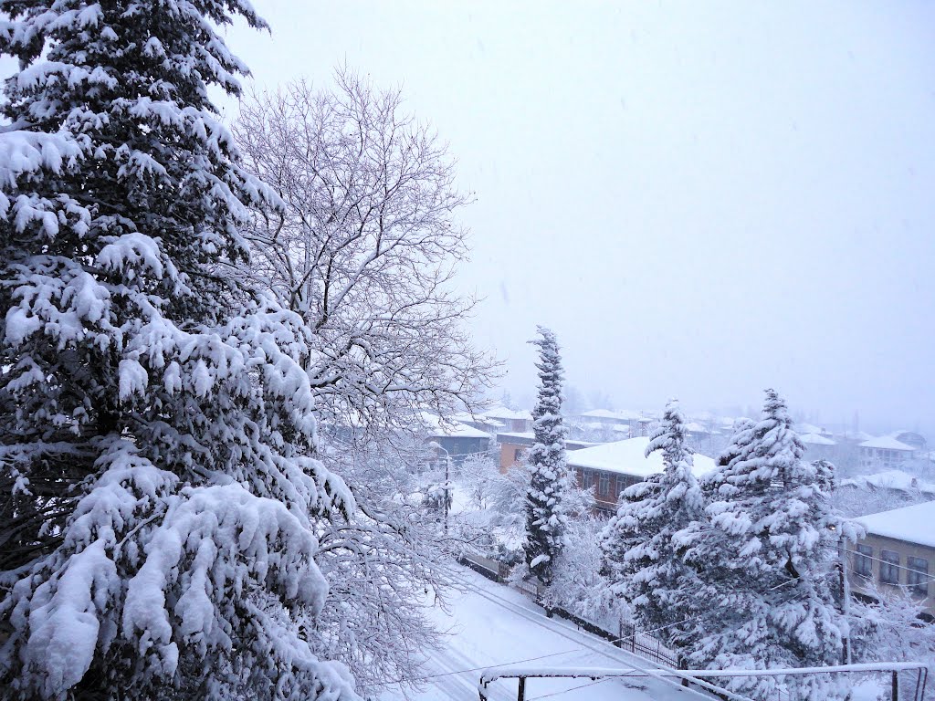 Snowy Abasha