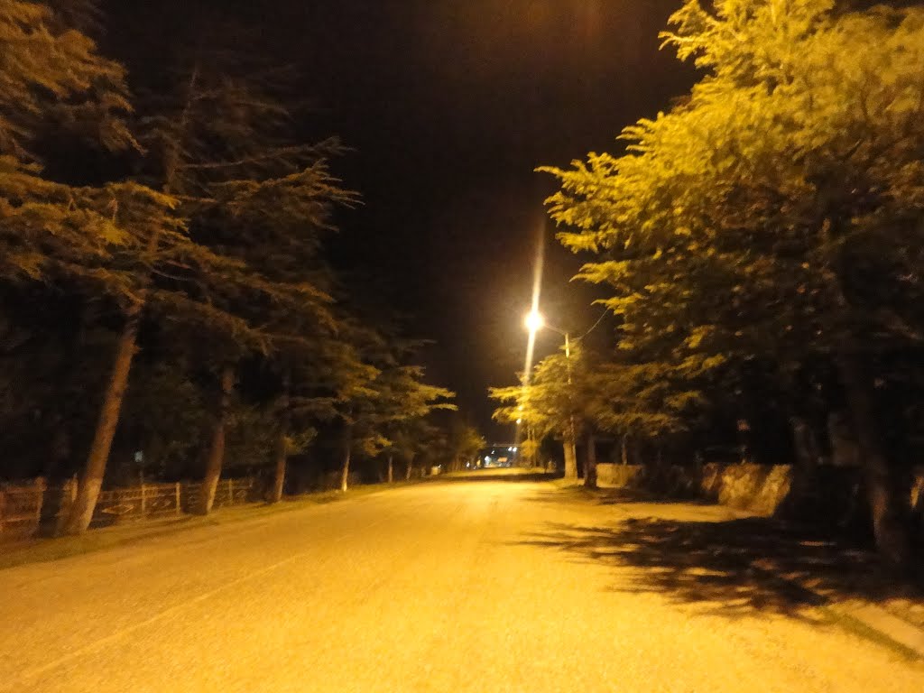 Abasha, Ucha kacharava str.