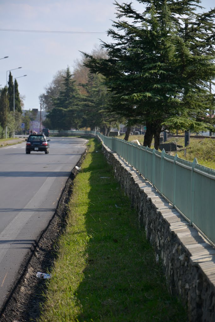 Georgia, Abasha