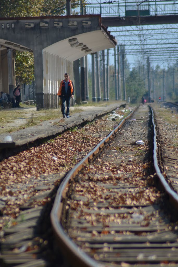 Abasha Railway Station - აბაშის რკინიგზის სადგური