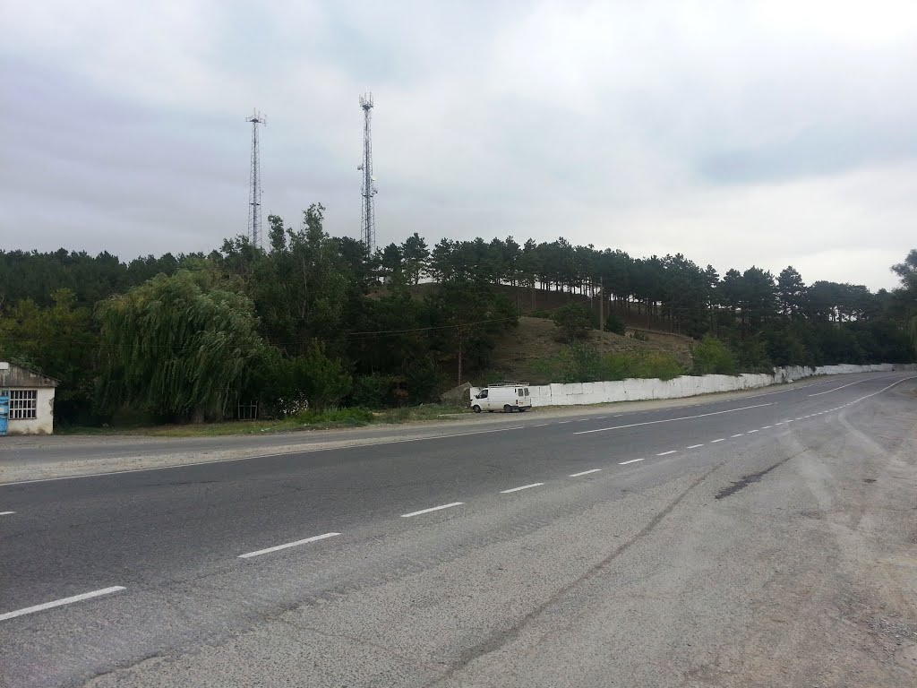 Agara. Road to Tbilisi [2013]