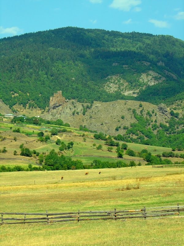 View to the Zanavi Fortress on the way to the Chule Monastry / ზანავის ციხე