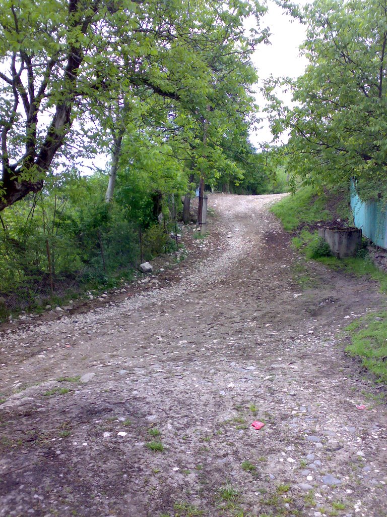 AMBROLAURI, gori, chemi soflis gza