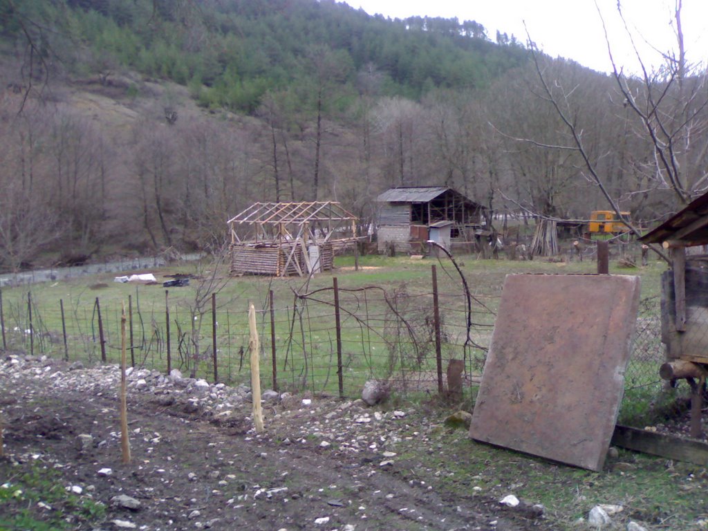 Krikhi, Turas Boseli