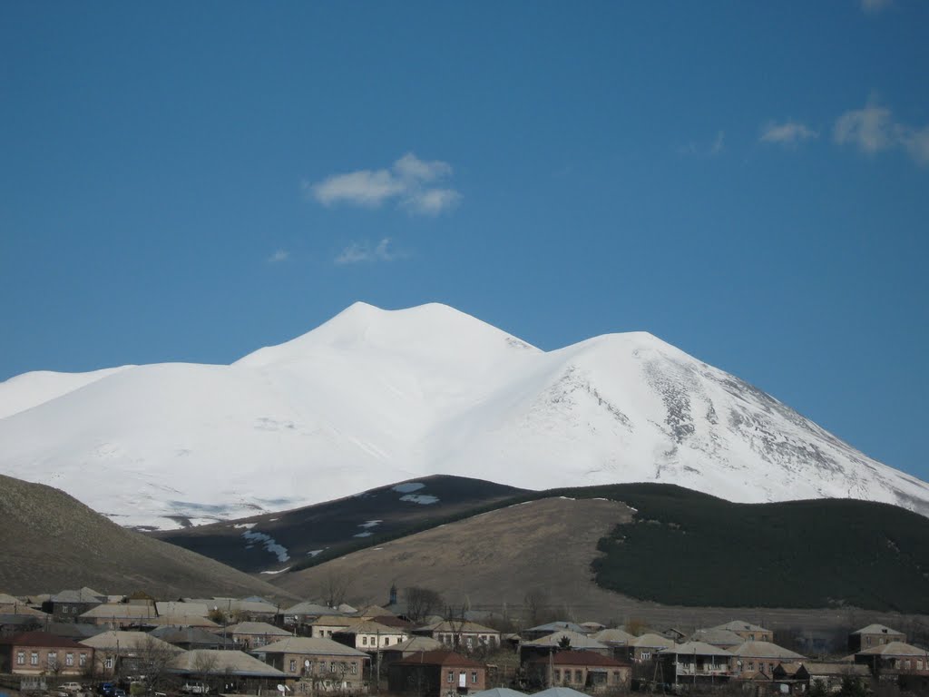 აბული