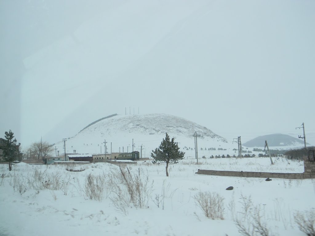 The Tavshanka (Petre)