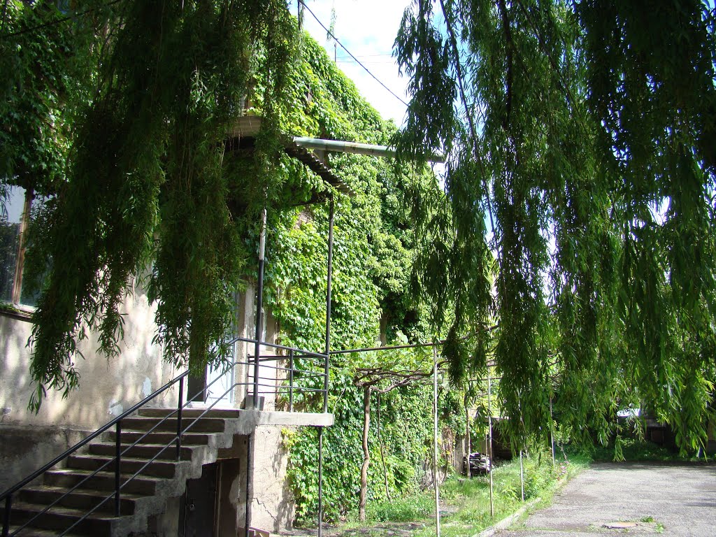 Akhaltsikhe