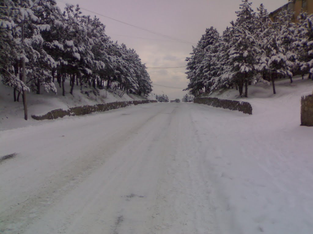 mtavari gza (zamtarshi)