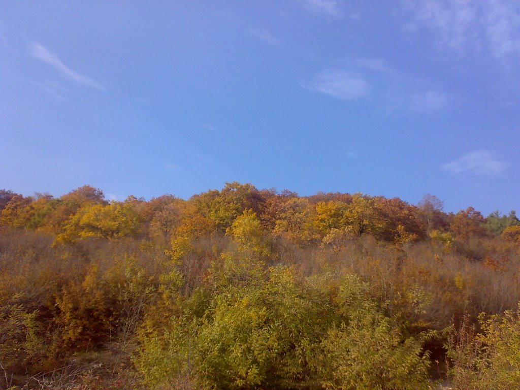Matani