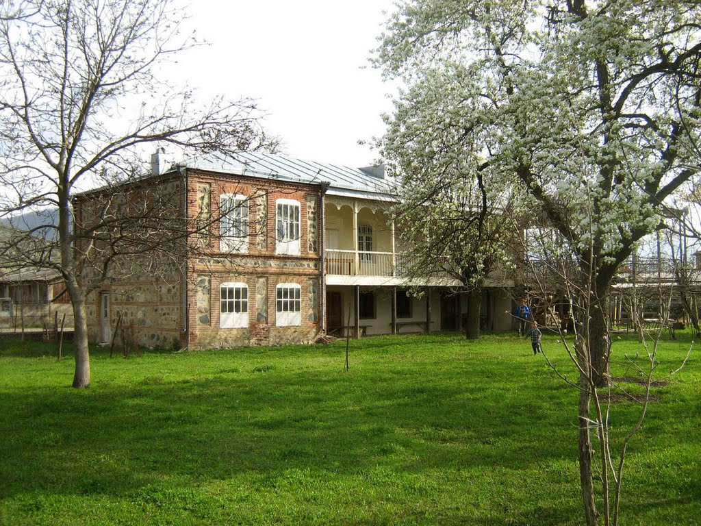 House in Alvani