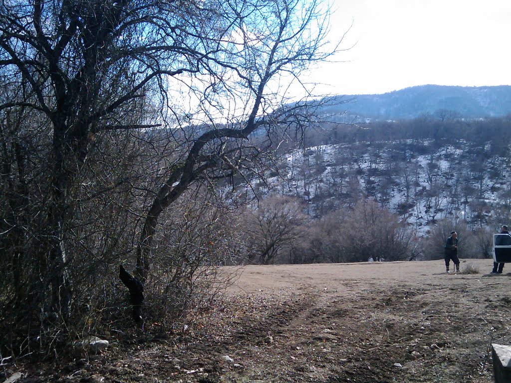 ახმეტა
