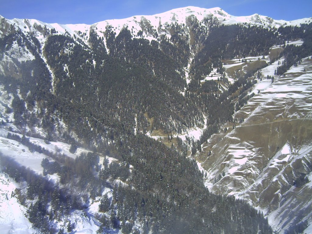 kavkasioni