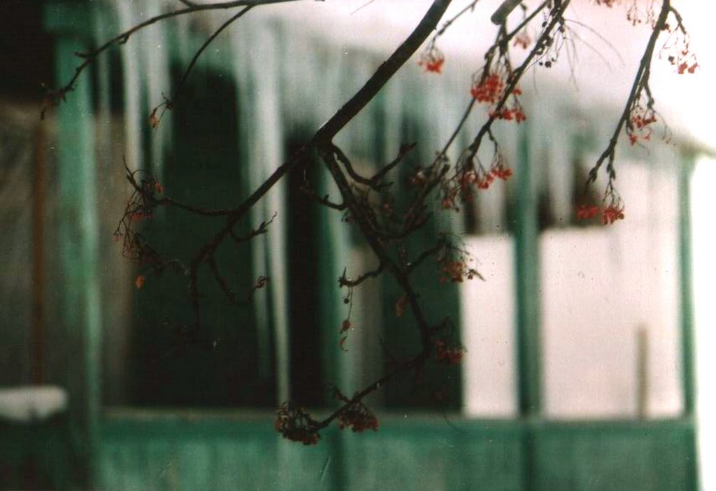 living house