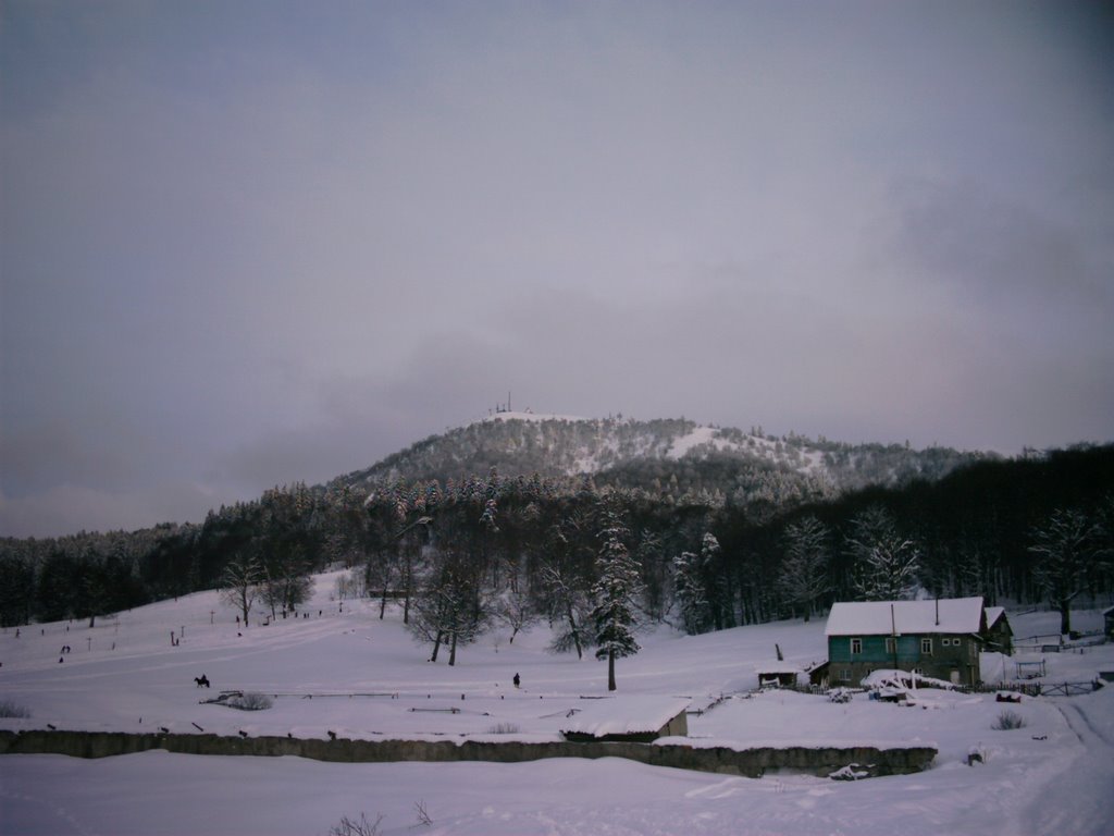 Kochtagora