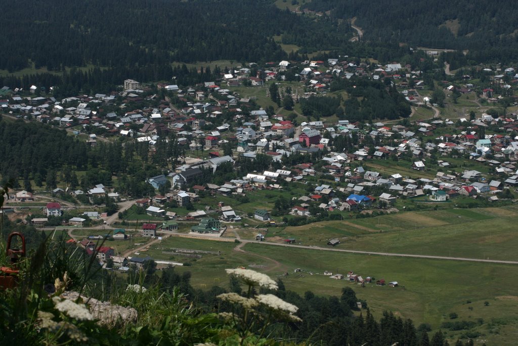 villa palase