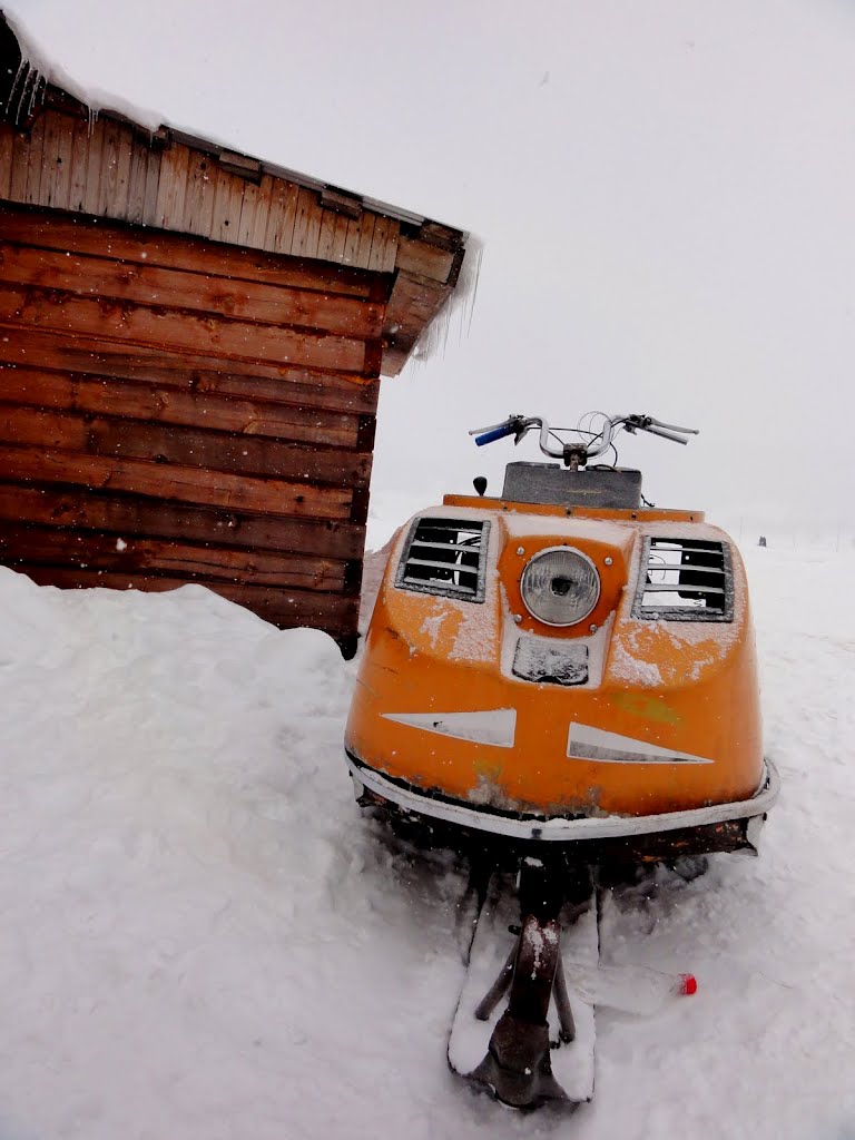 Vintage Snowmobile