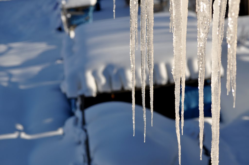 Winter in Bakuriani