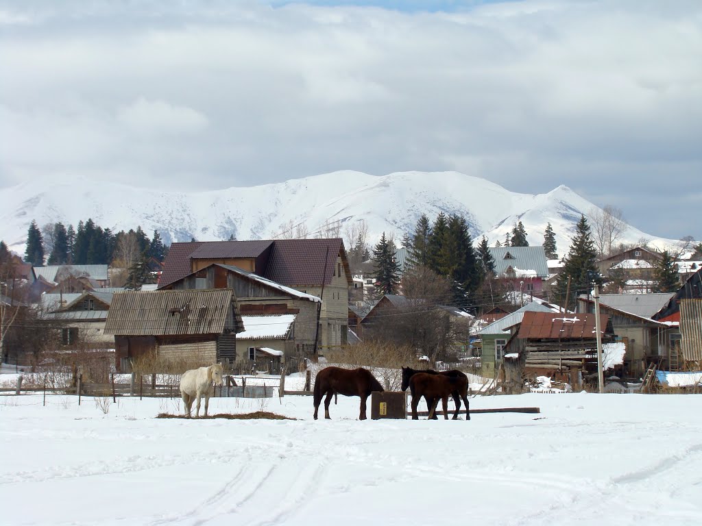 Bakuriani