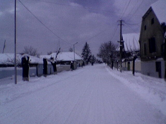 Sulkhan-saba orbeliani st. in winter
