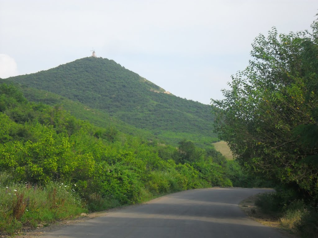 Bolus-Kəpənəkçi (Aqşin Namazlı)