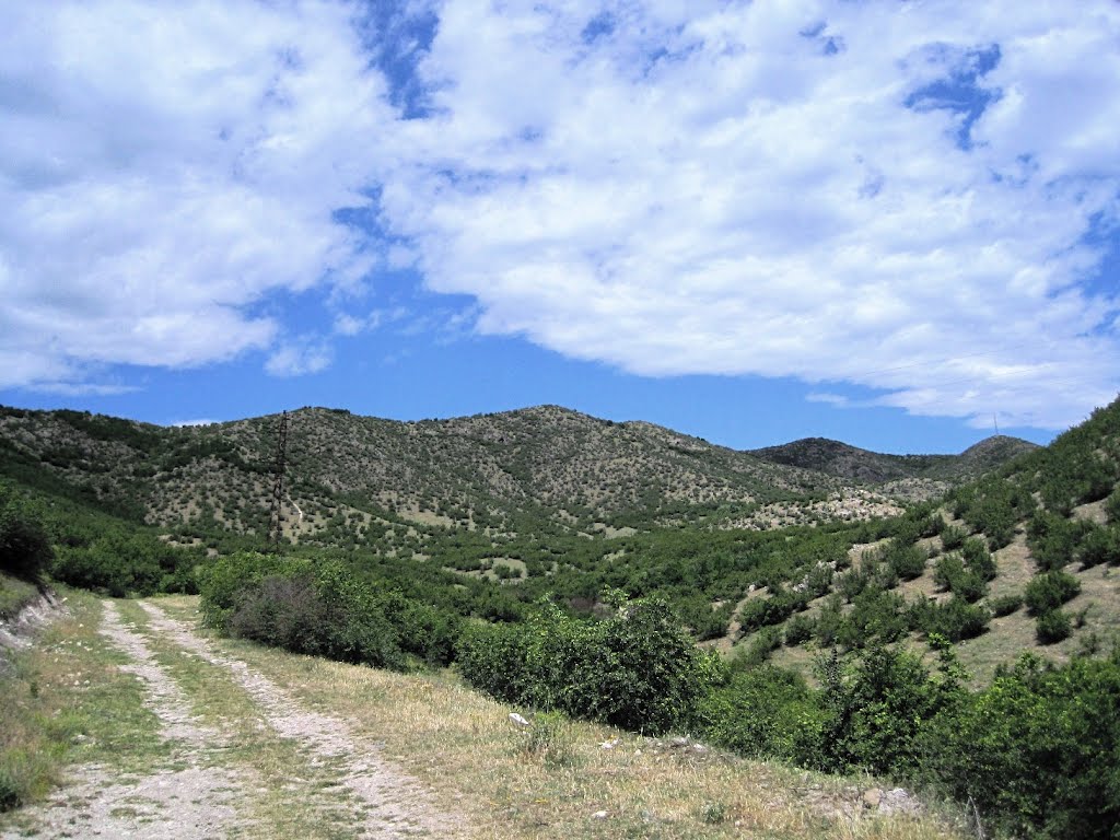 Bolnisi