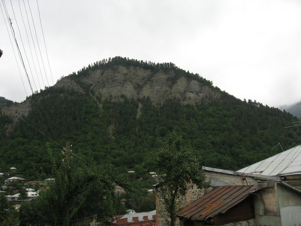 Mountain in Borjomi