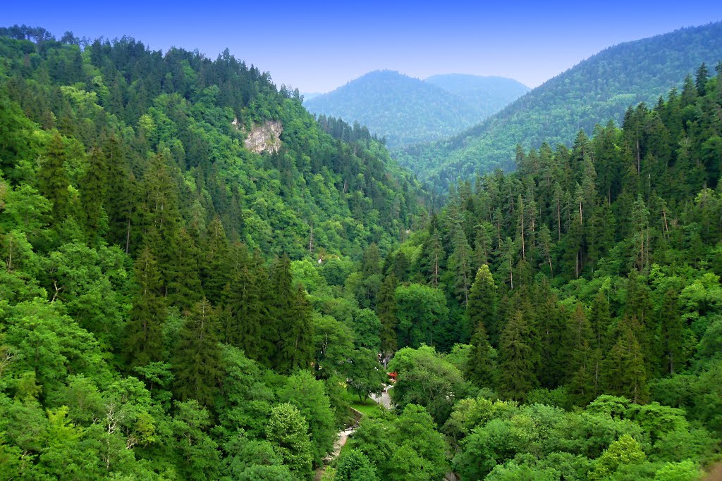 Borjomi - lift the Plateau- view to park -ბორჯომი - ხედი პარკი- GEORGIA - 2011