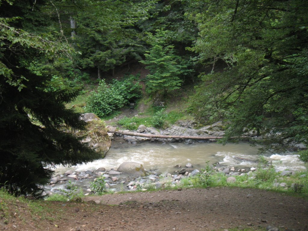 River Borzhomula
