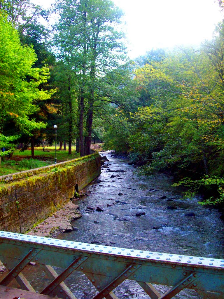 Borjomi park