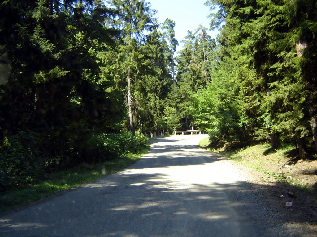 Borjomi, road to Tba