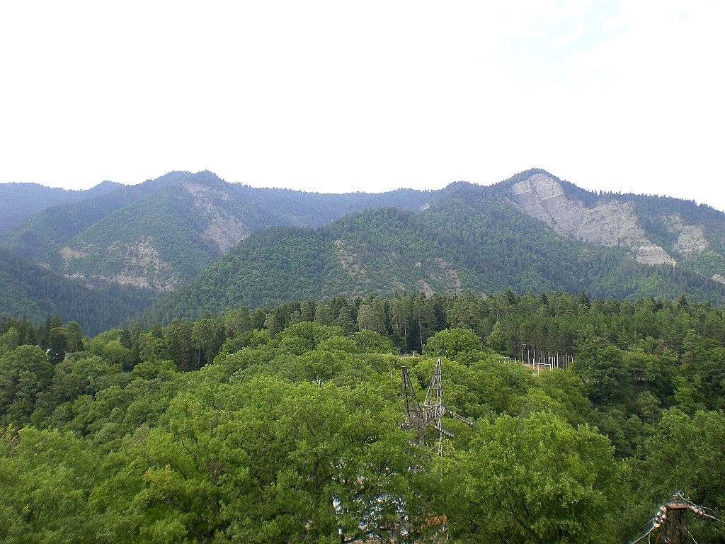 over borjomi