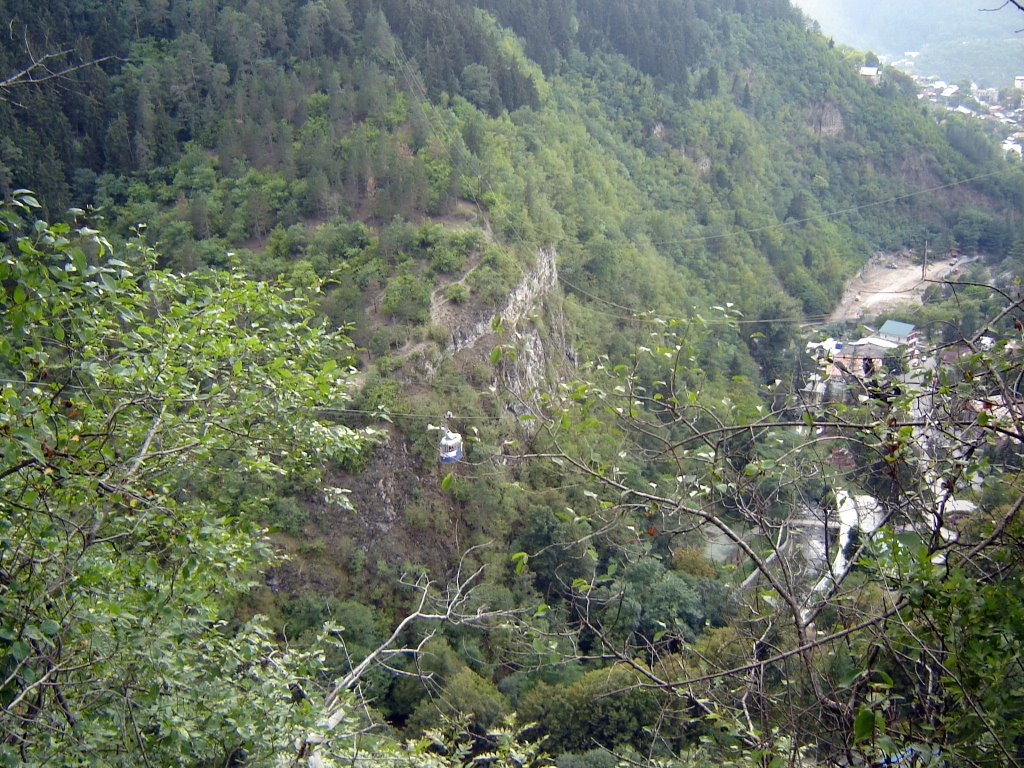 Borjomi, Park