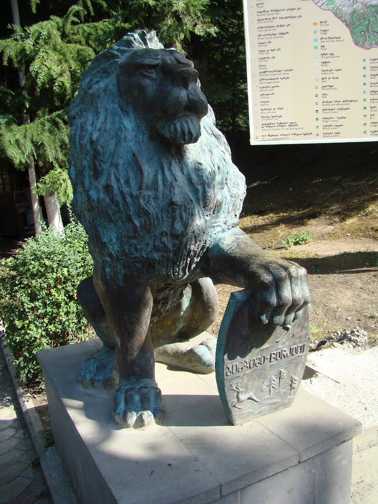 Borjomi Lion