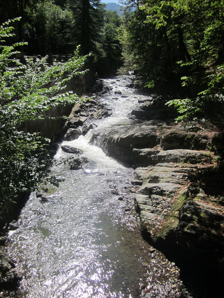 borjomi. ბორჯომი