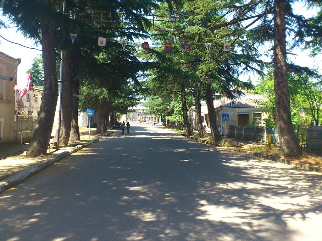 vani tavisupleba st