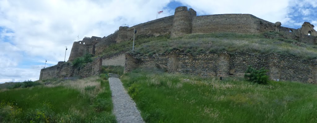 Gori castle