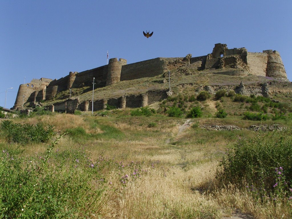 Gori castle/ Гори замок