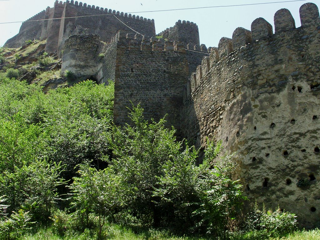 Gori, castle/ zamek